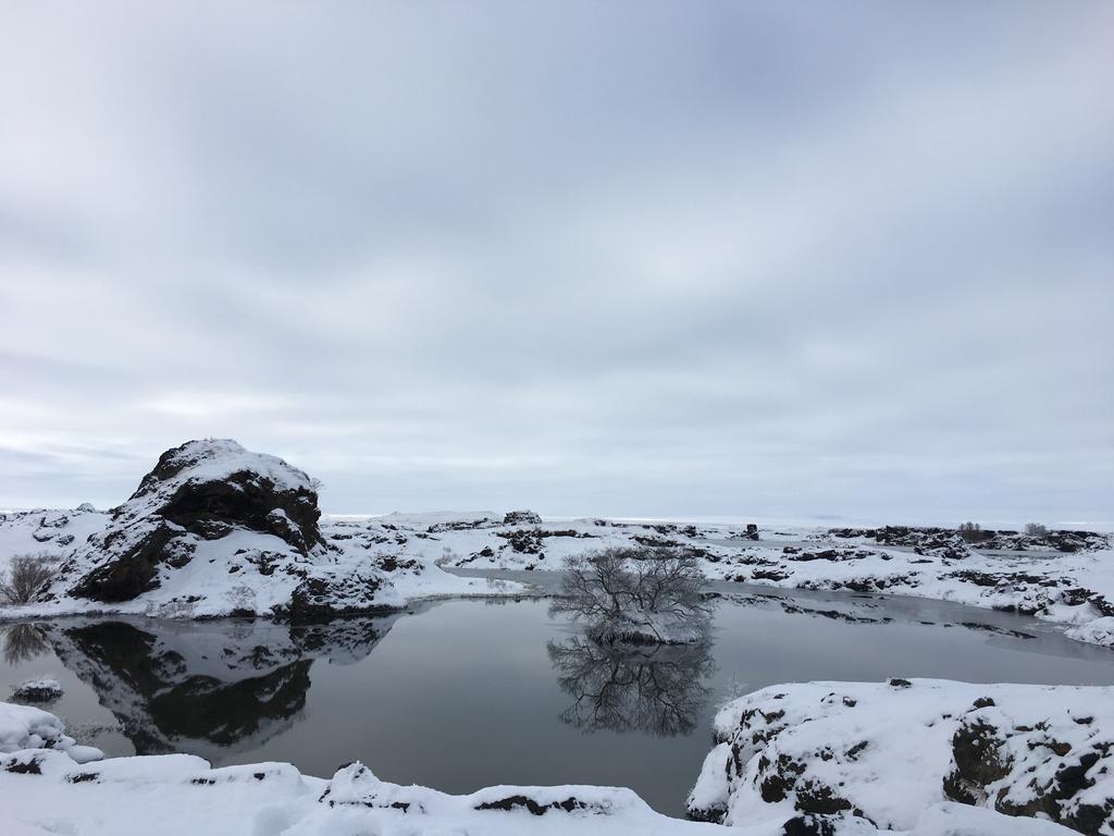 Öndólfsstaðir Farm B&B Laugar  Exteriör bild