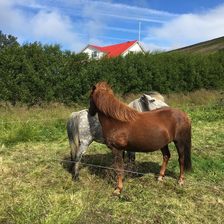 Öndólfsstaðir Farm B&B Laugar  Exteriör bild