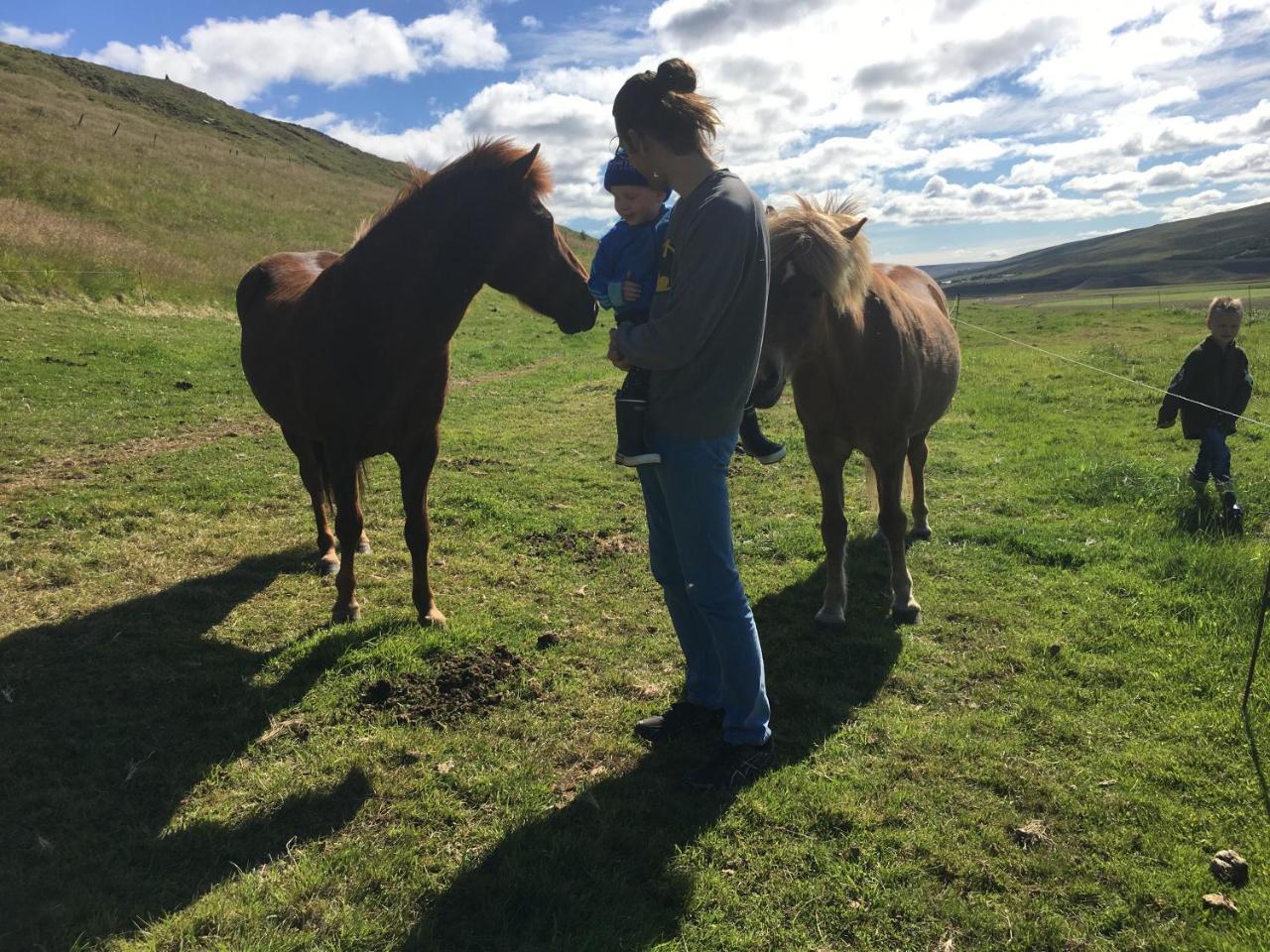 Öndólfsstaðir Farm B&B Laugar  Exteriör bild
